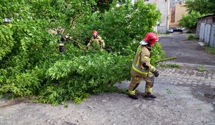 Pogoda. Burzowa fala zaleje Polskę. Czeka nas nagły zjazd temperatury