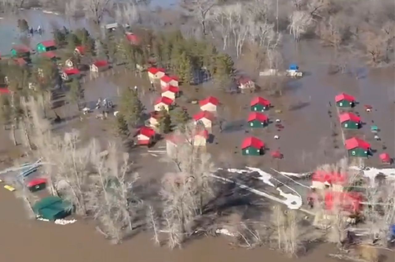 Rodents blamed for catastrophic flood in Russian Urals