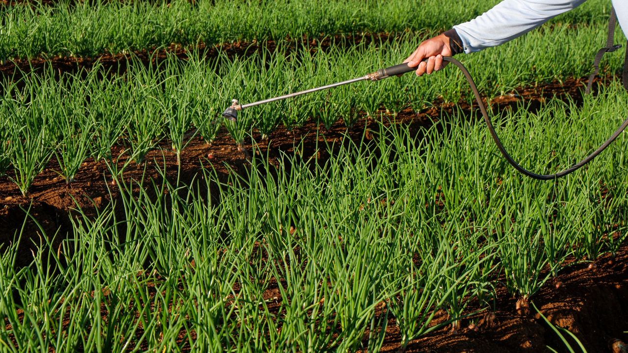 Jakie opryski wykonać w kwietniu? Tak zadbasz o swoje plony