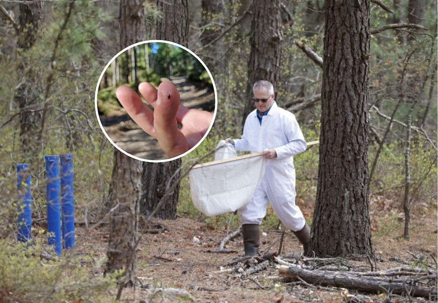 Mamy tylko 12 h na reakcję. Już niedługo ochroni nas szczepionka