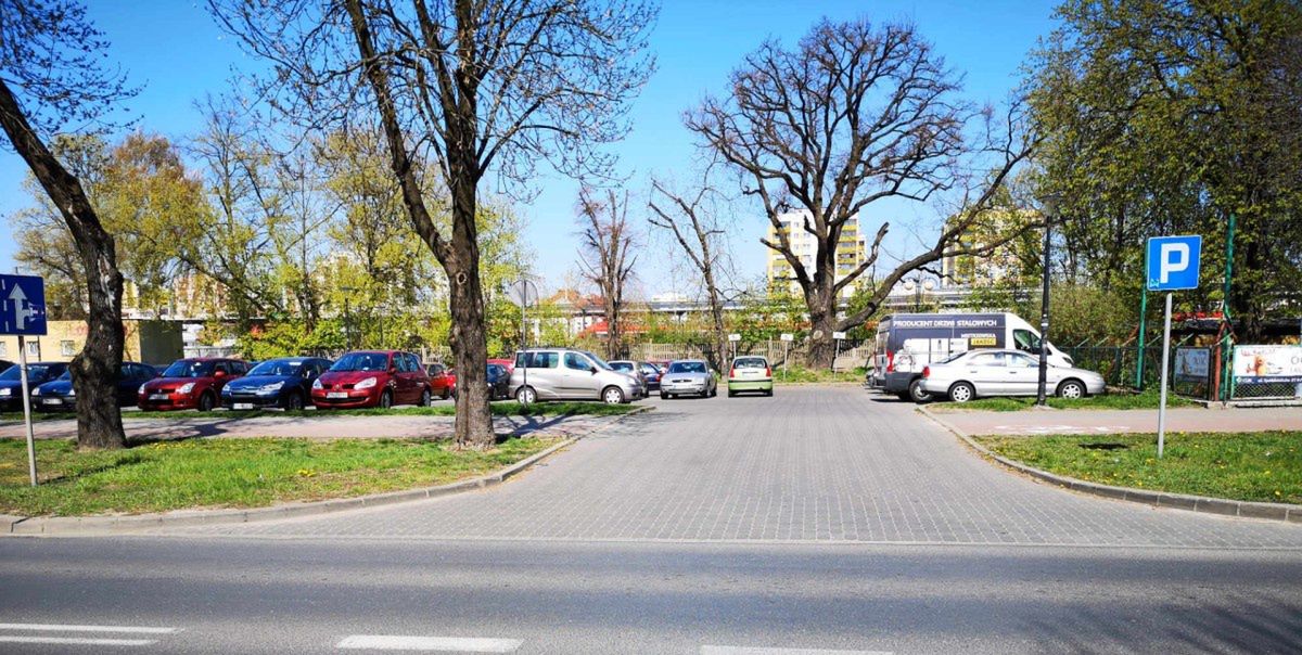 Konin: Dzisiaj dąb Zawiadowca ozdabia już tylko park... handlowy