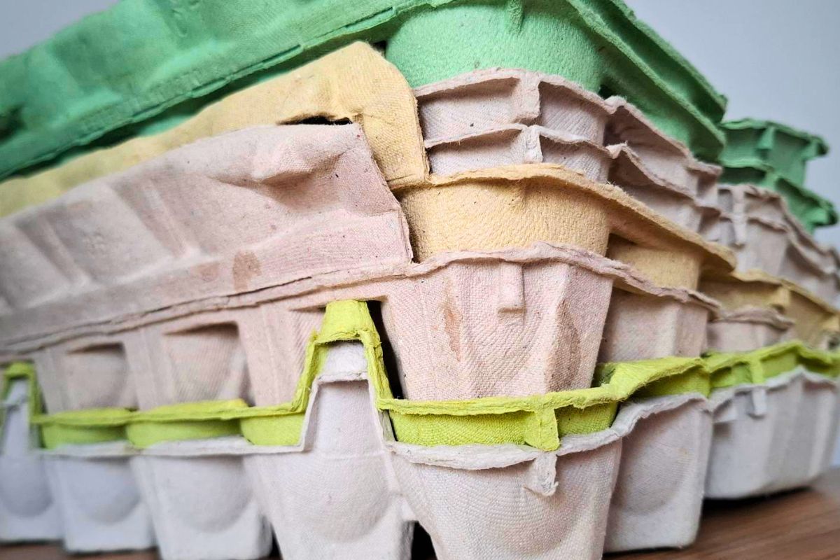 Wytłaczanki do jajek mają wiele zastosowań