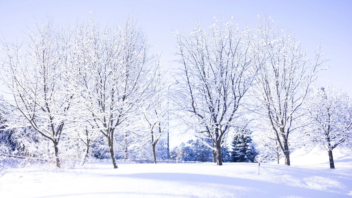 Jaka będzie zima 2020/2021?