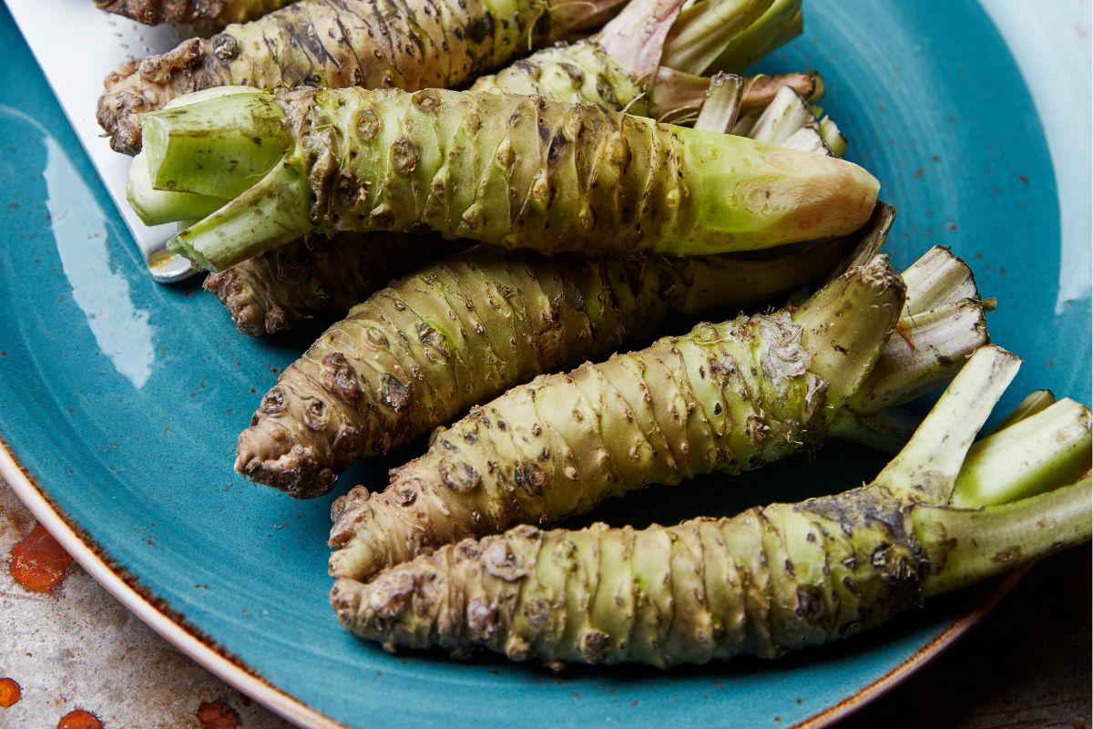 Wasabi root has a positive effect on memory.