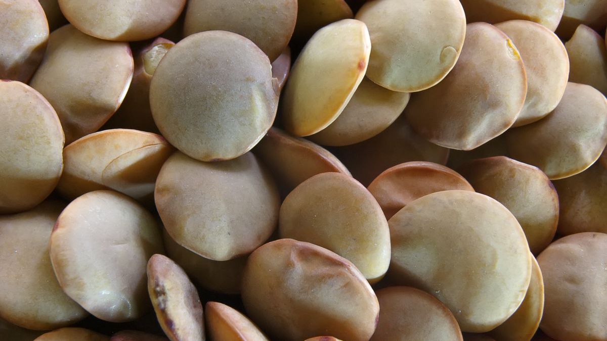 Niektóre warzywa mogą podnosić poziom trójglicerydów we krwi