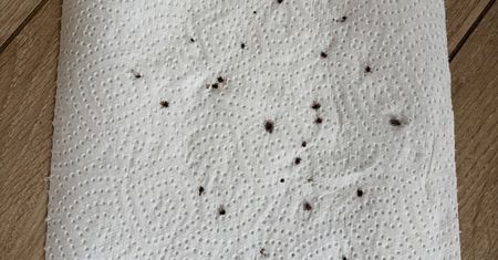 "Strach wyjść na spacer". Wróciła do domu i aż zrobiła zdjęcie