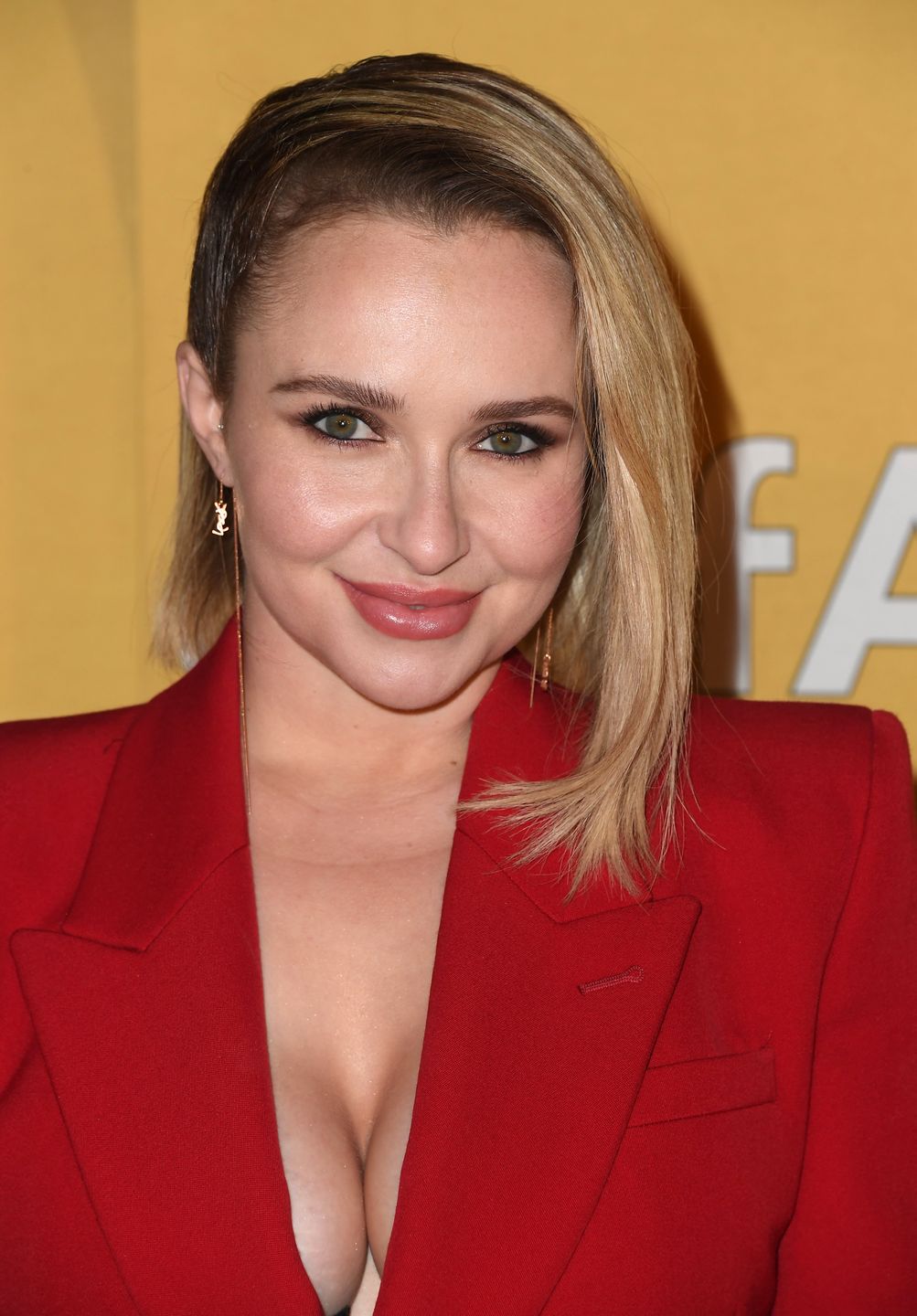 Hayden Panettiere