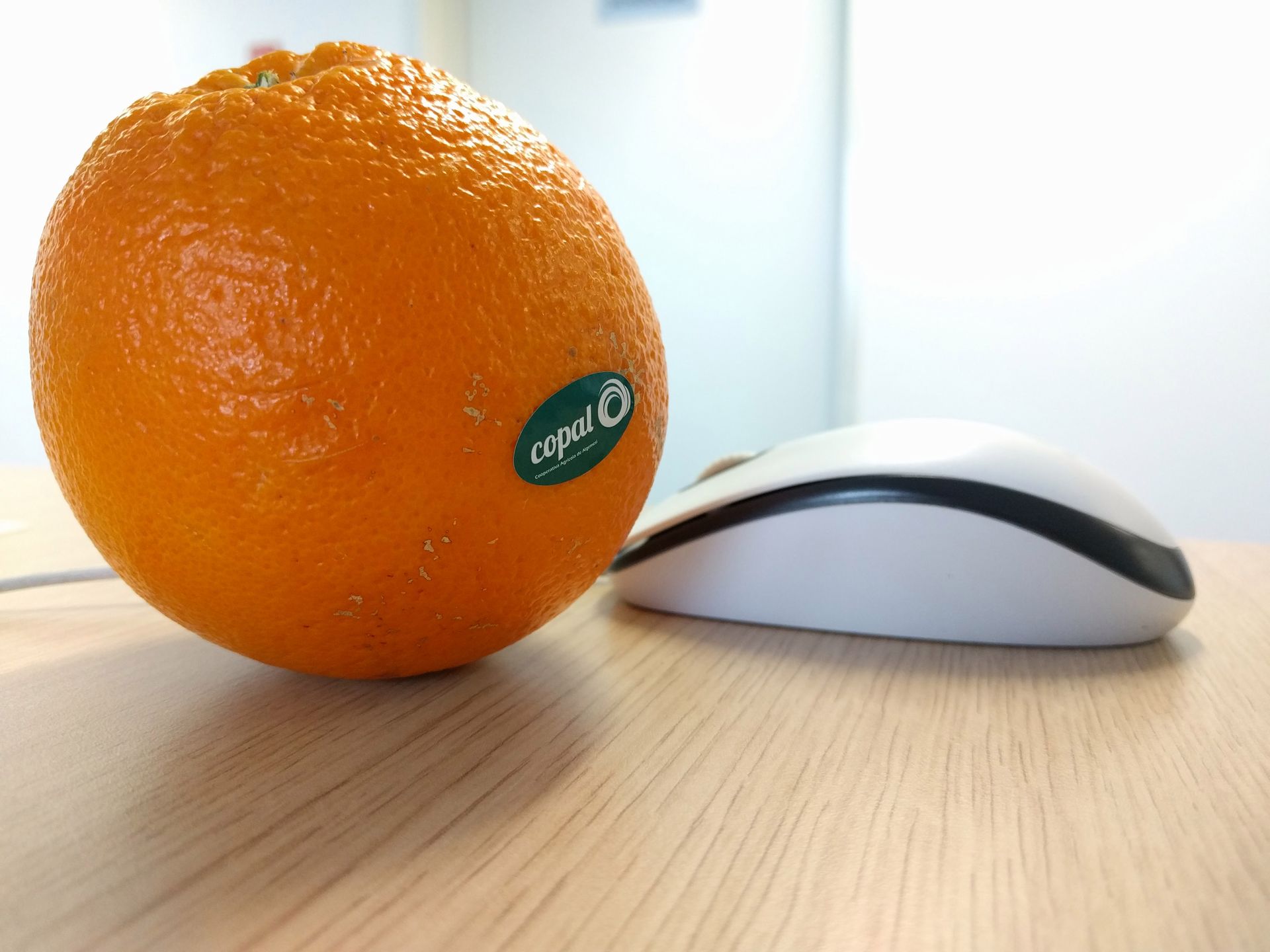 Nexus 5x - test i recenzja 37