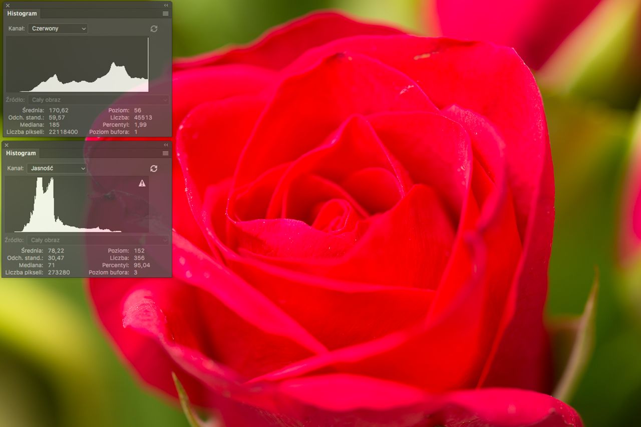 Pomimo poprawnego histogramu jasności, widzimy że histogram czerwieni dotyka prawej krawędzi. Oznacza to, że połacie czerwieni mogą pozostać bez szczegółów