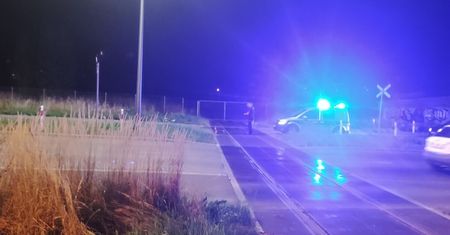 Nietypowa interwencja policjantów. Zobaczyli idącego ulicą jeża, zatrzymali się i włączyli sygnały