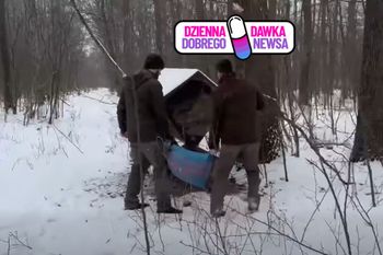 Myśliwi nagrani. Leśnicy dodali film. Zobacz, co robili w głębi lasu