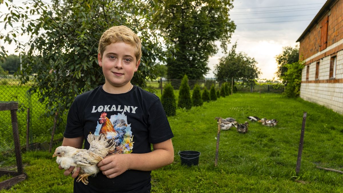 Pasją 10-letniego Jakuba Kozłowskiego z Czajcza są kury.