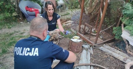 Parczew. 55-latek znęcał się nad ptakami. Trudno sobie wyobrazić, jakie piekło im zgotował