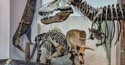 W Polsce powstanie Muzeum Historii Naturalnej