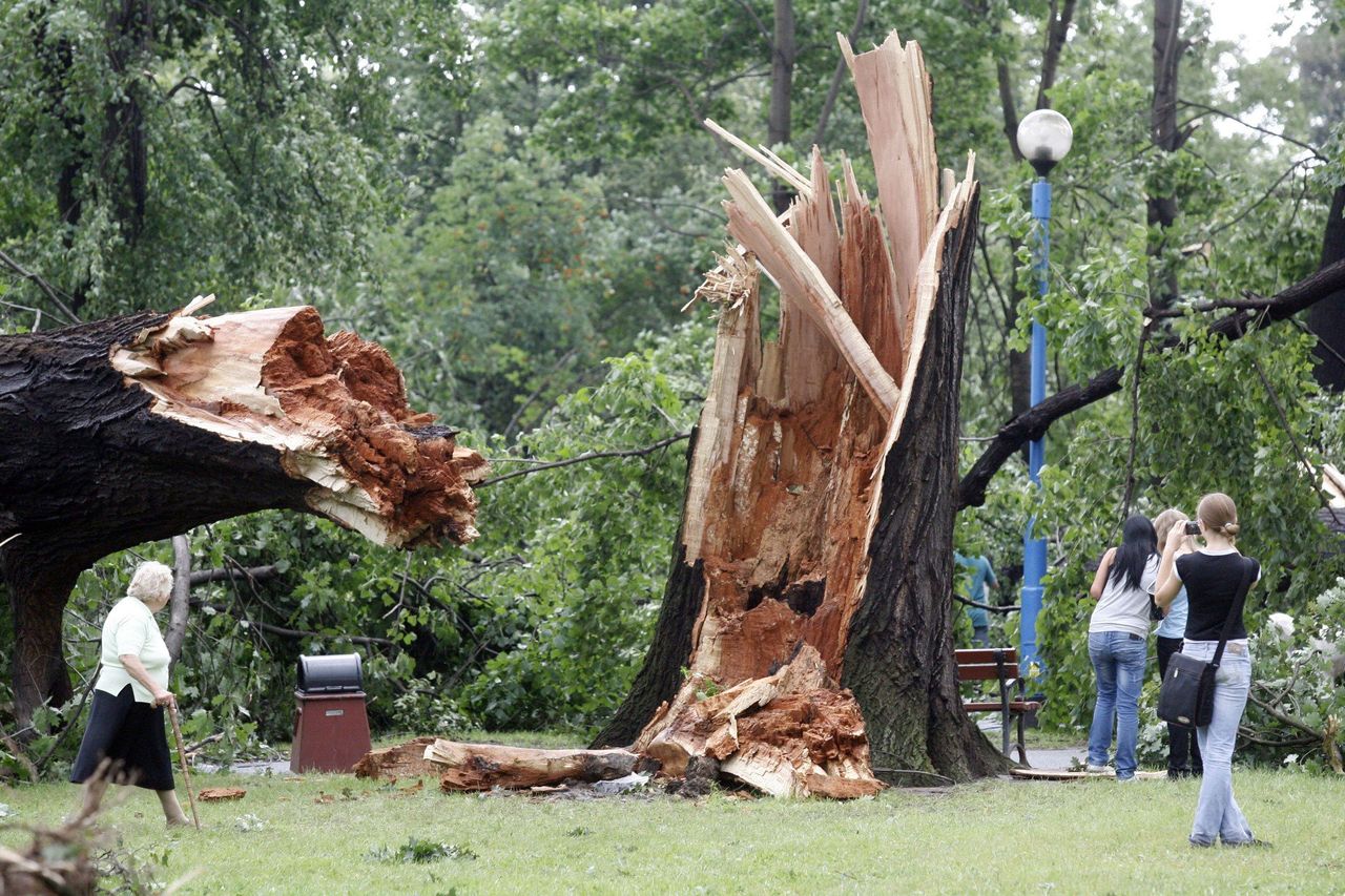 Legnica: 16 lat temu silny wiatr połamał setki drzew w mieście. Straty były ogromne. Archiwalne zdjęcia sprzed lat