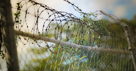 Kryzys migracyjny. Litwa stawia stalową zaporę na granicy z Białorusią