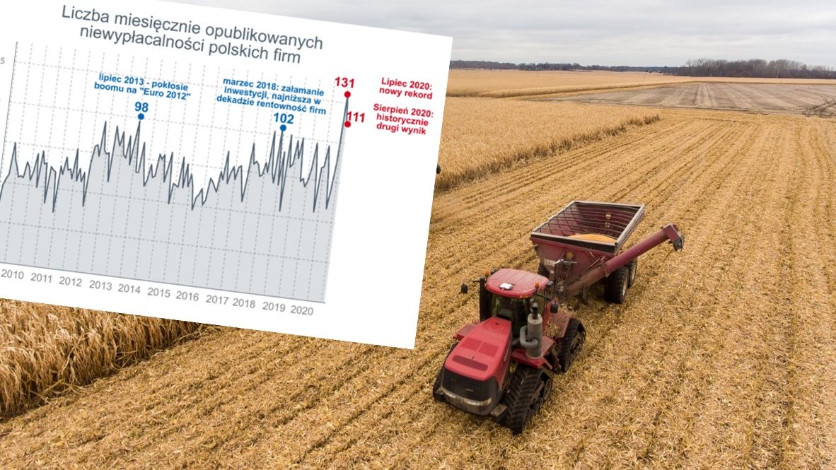 Produkcja żywności 