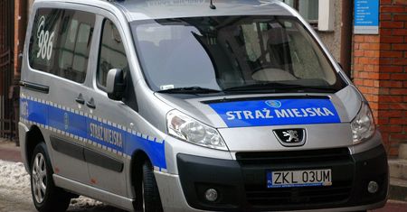 Straż miejska czy drogowa? – raport MSW