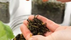 Mikstura na ból gardła. Przygotujesz ją w domu (WIDEO)