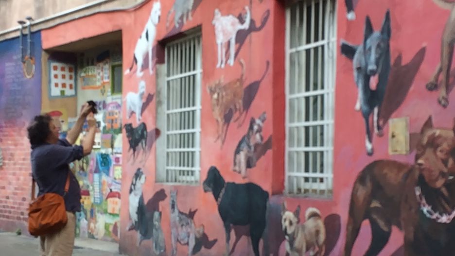 Wrocław. Muzyczna Noc Nadodrza. Opowieści o jasnej stronie ciemnych zaułków miasta