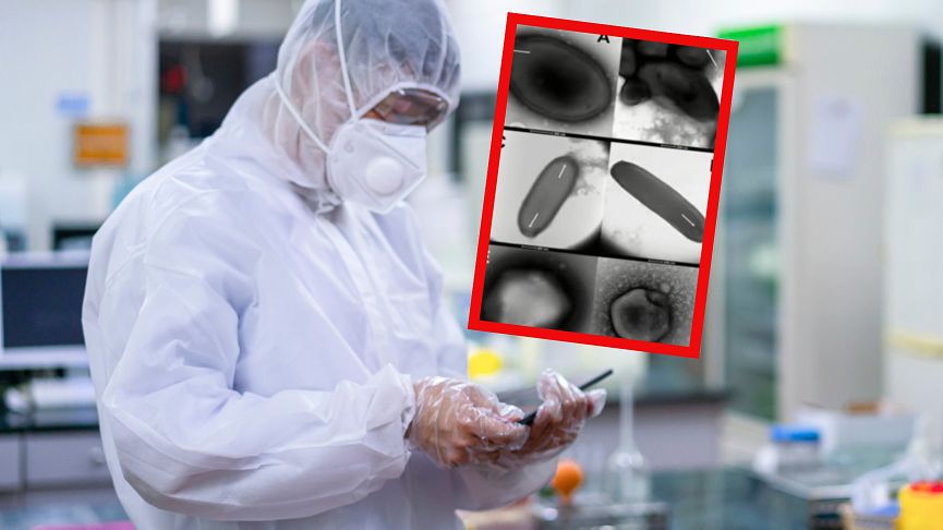 Co skrywa wieczna zmarzlina? Badacze wyodrębnili 13 nowych wirusów