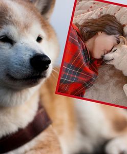 Znają go internauci na całym świecie. "Pieseł" jest poważnie chory