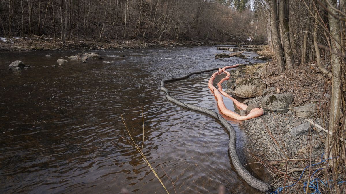 Trwa oczyszczanie rzeki 