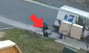 Tak potraktował 4-latka. Bulwersujące sceny w USA