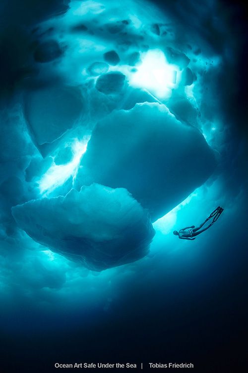 Najlepsze zdjęcia oceaniczne w konkursie Safe Under the Sea 16