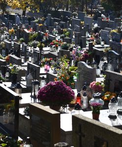 Wszystkich Świętych drogie jak nigdy. Znicze są coraz mniejsze