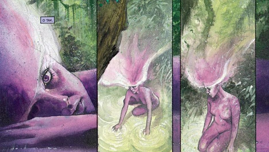 "Czarna Orchidea", scen. Neil Gaiman, rys. Dave McKean