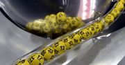 Wyniki Lotto. W kumulacji 23 mln zł do wygrania