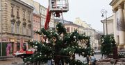 Lublin: Choinka i iluminacje ruszają tydzień wcześniej