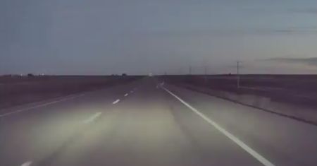 Tesla. Autopilot ominął jelenia. Niezwykłe nagranie kierowcy