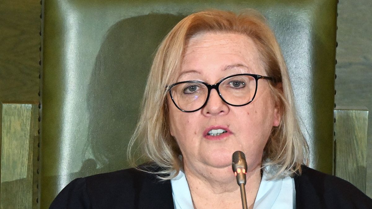 Ma�gorzata Manowska
Radek Pietruszka
Konferencja naukowa, Lavoro pericoloso. O pracy s�dziego, najwy�szy, s�d, briefing prasowy, nauka, naukowa, praca, prasowa, s�downictwo, s�dy, s�dzia, portret