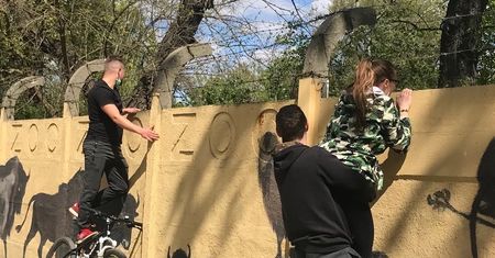 Wrocław. Zoo musi poczekać