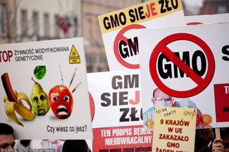 W opozycji PiS zapowiadał wojnę przeciwko GMO. Gdy rządzi, już nie jest tak zdecydowany