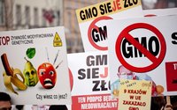W opozycji PiS zapowiada wojn przeciwko GMO. Gdy rzdzi, ju nie jest tak zdecydowany