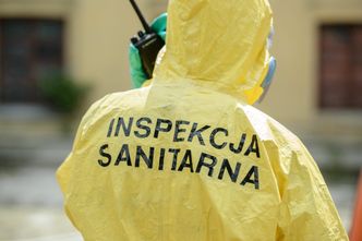 Partia kremów i napojów roślinnych wycofana ze sprzedaży. Jeśli je kupiłeś, natychmiast wyrzuć