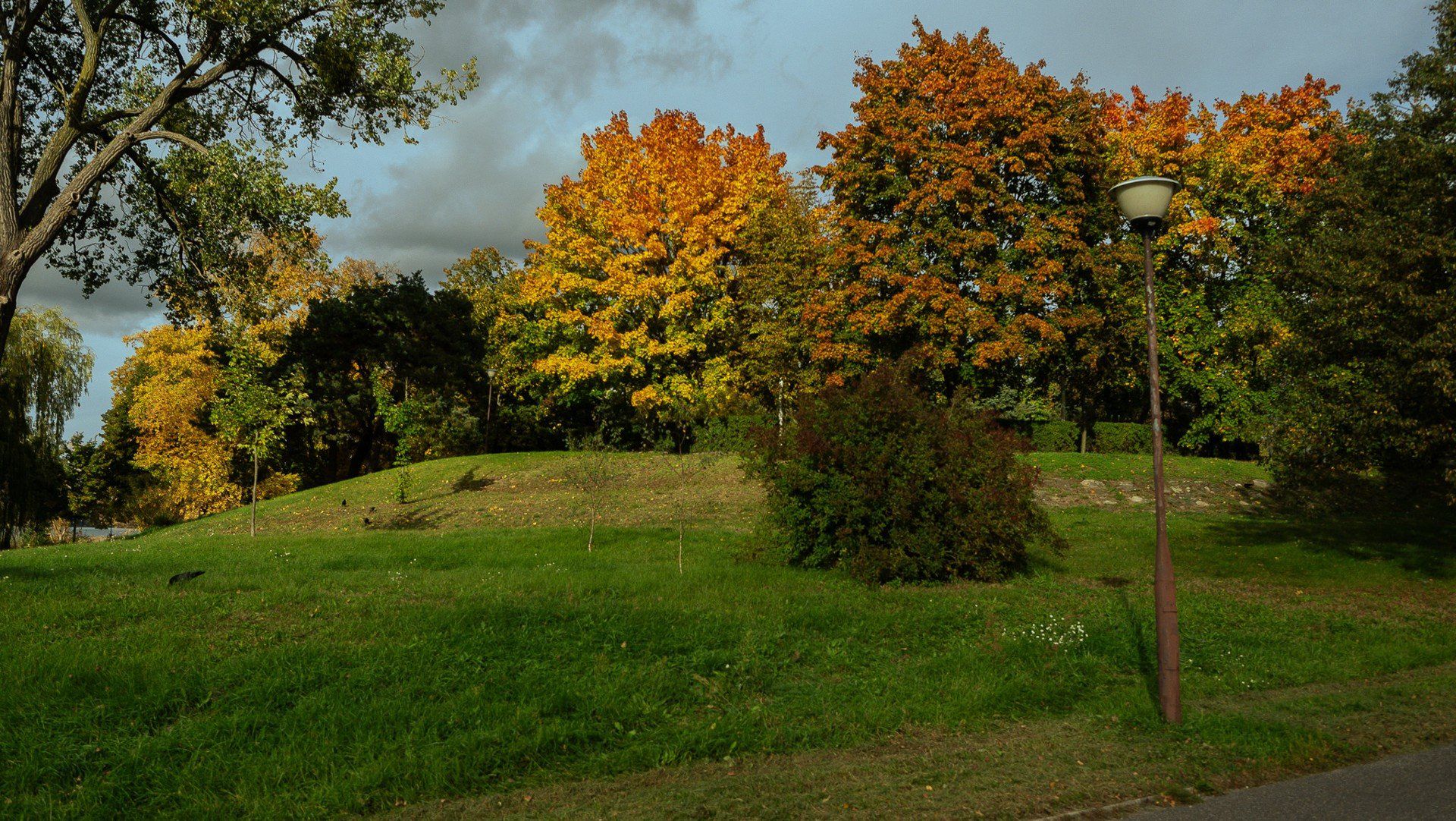 Złota jesień w Wągrowcu