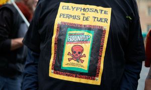 Bayer żąda ceł na chiński glifosat. Rolnicy w USA oburzeni