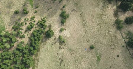 Wrocław. Tropicielskie drony z uczelni. Mogą poszukiwać zaginionych