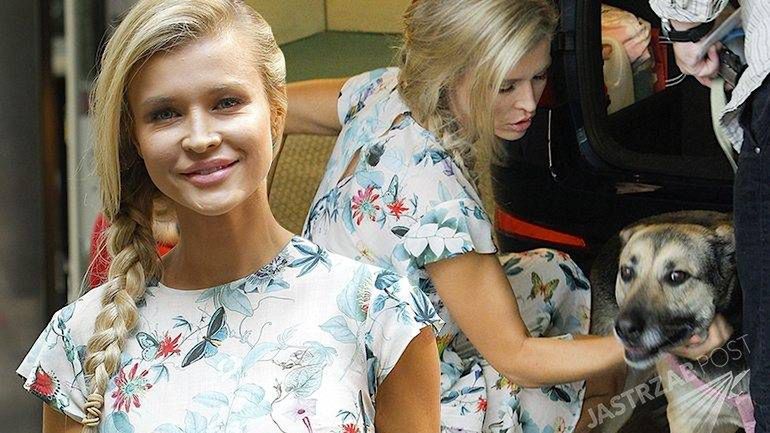 Joanna Krupa z psami w Dzień Dobry TVN 25 lipca 2015