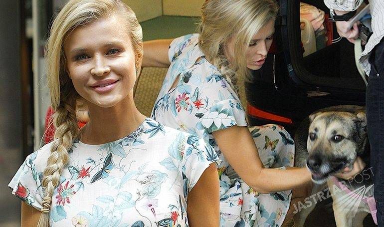 Joanna Krupa z psami w Dzień Dobry TVN. Wystylizowała się na Słowiankę [PAPARAZZI]