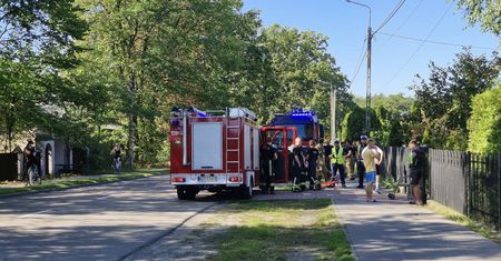 Nietypowy wypadek. Kolarze zderzyli się z dzikami