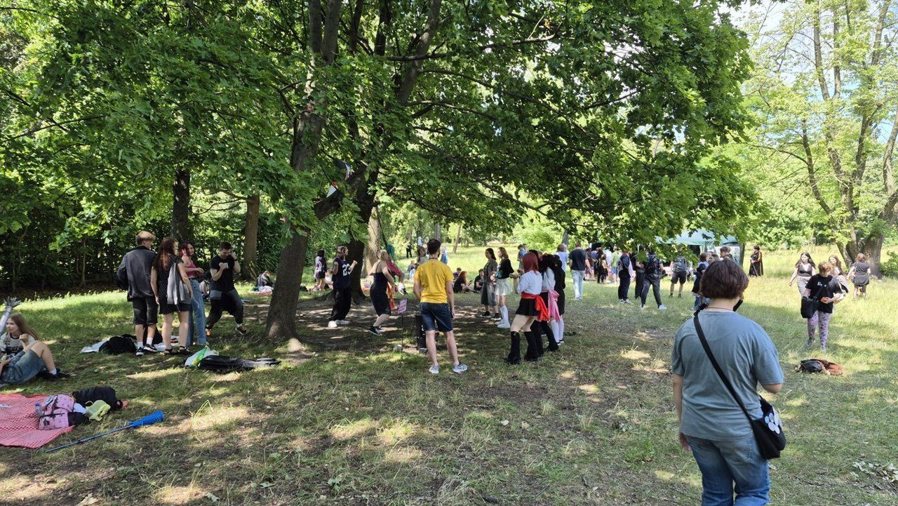Łódzki Piknik Mangowy