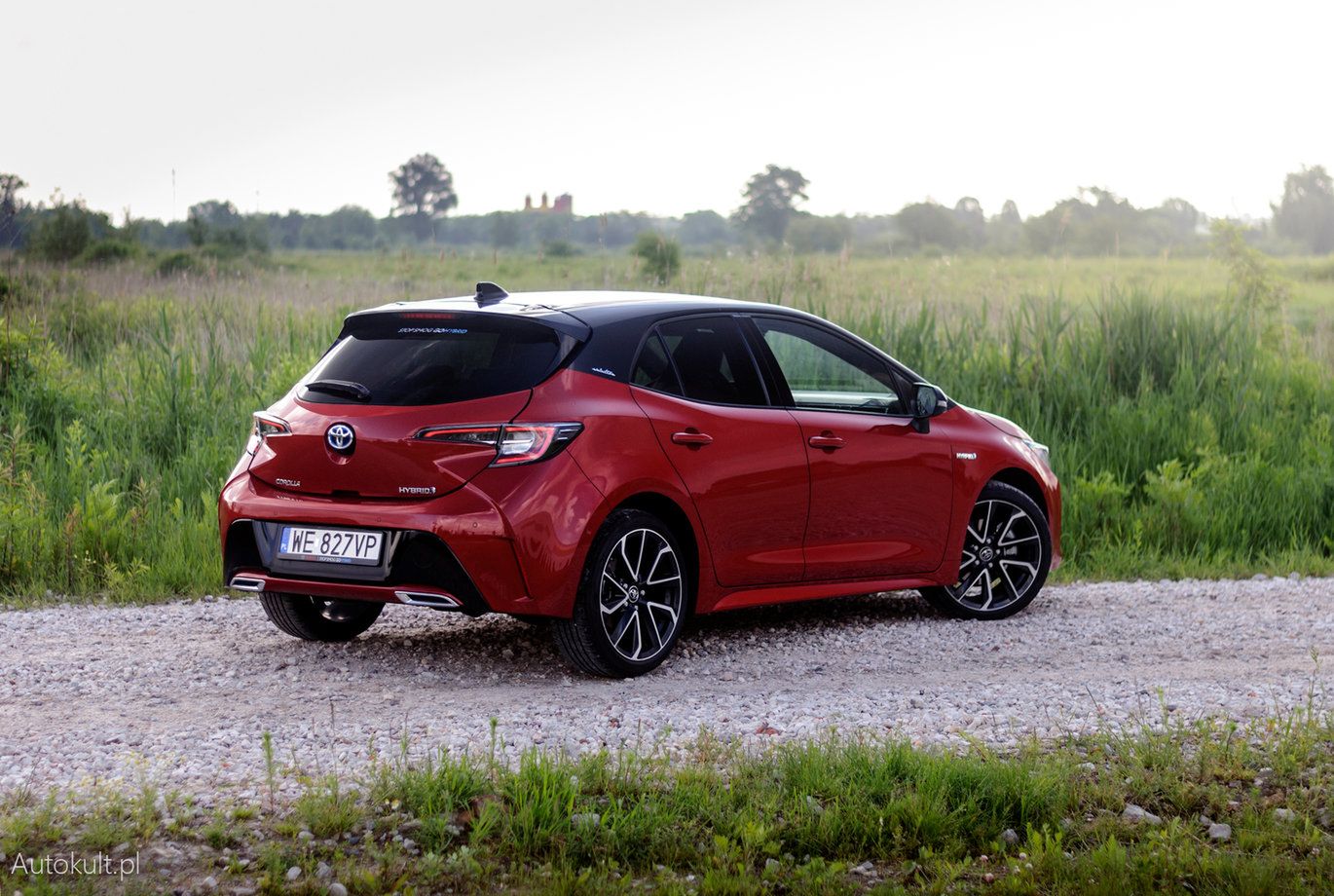 Toyota Corolla jest jedną z najpopularniejszym hybryd w Polsce