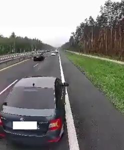 Pirat drogowy na S3. Marszałek Geblewicz mógł doprowadzić do tragedii. Jest komentarz