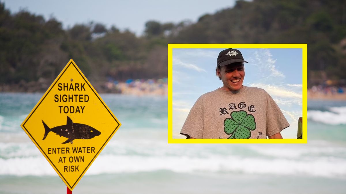 Surfer zaatakowany przez ogromnego rekina