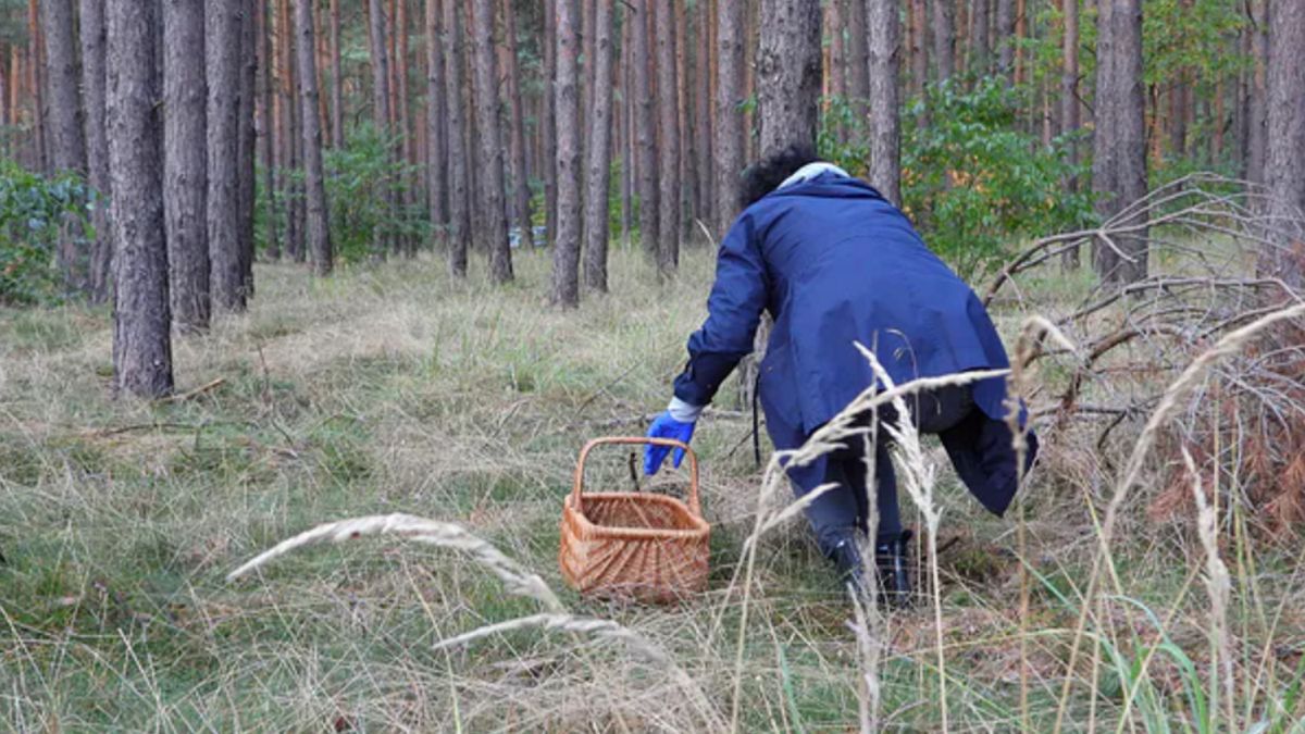 Zdjęcie ilustracyjne.